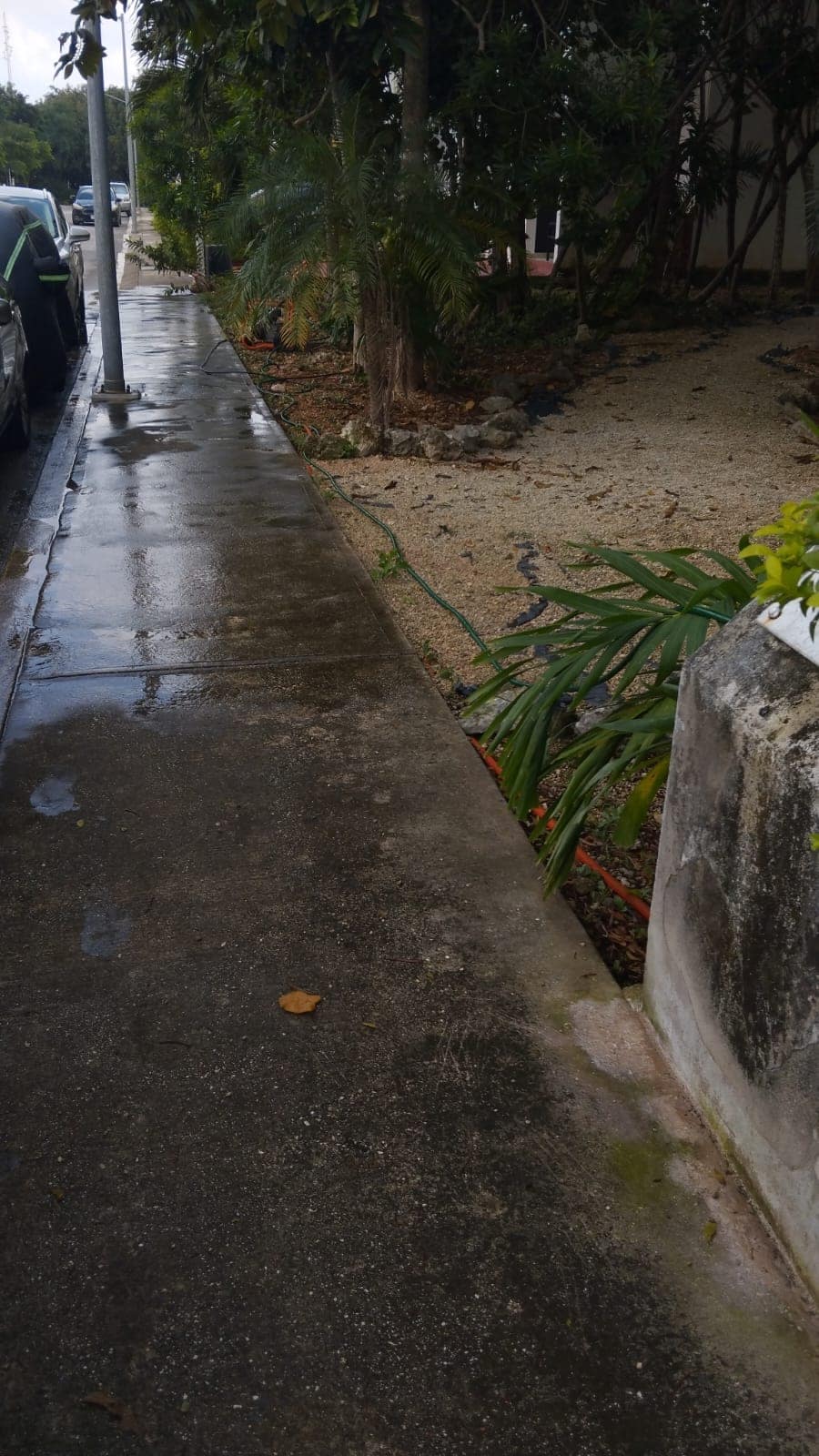 Banqueta de parque negra de moho