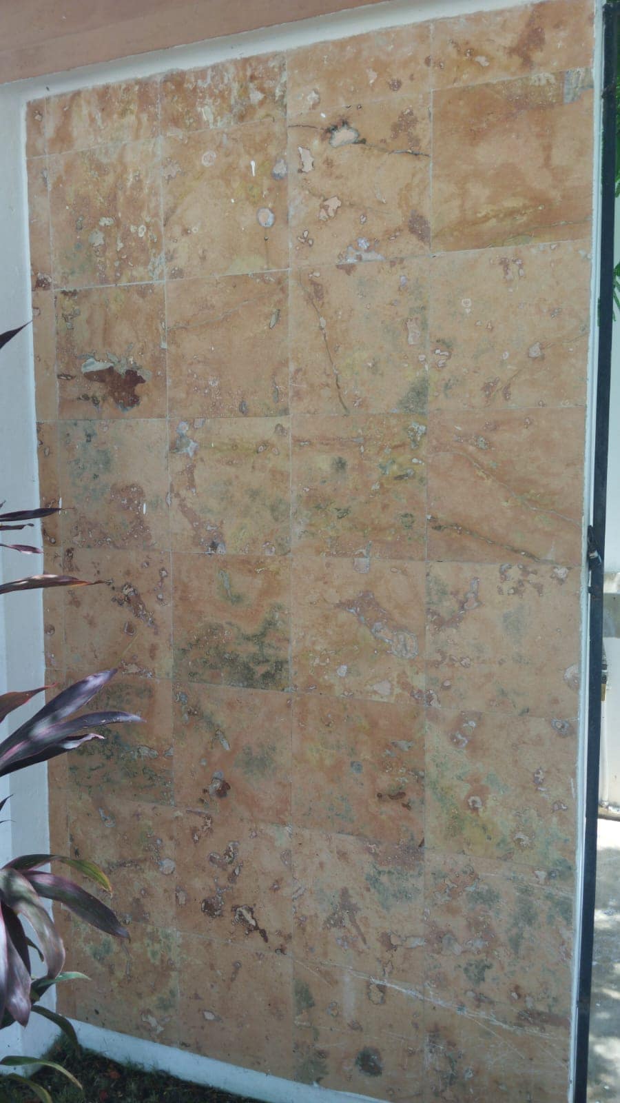 Muro lleno de moho sin lavar